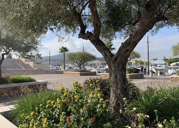 Daire En Mezzanine, Climatisation - 2 Pers. - Fr-1-226-569 Sainte-Maxime